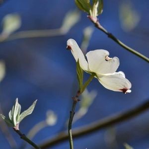 Meet your Posher, Joanna